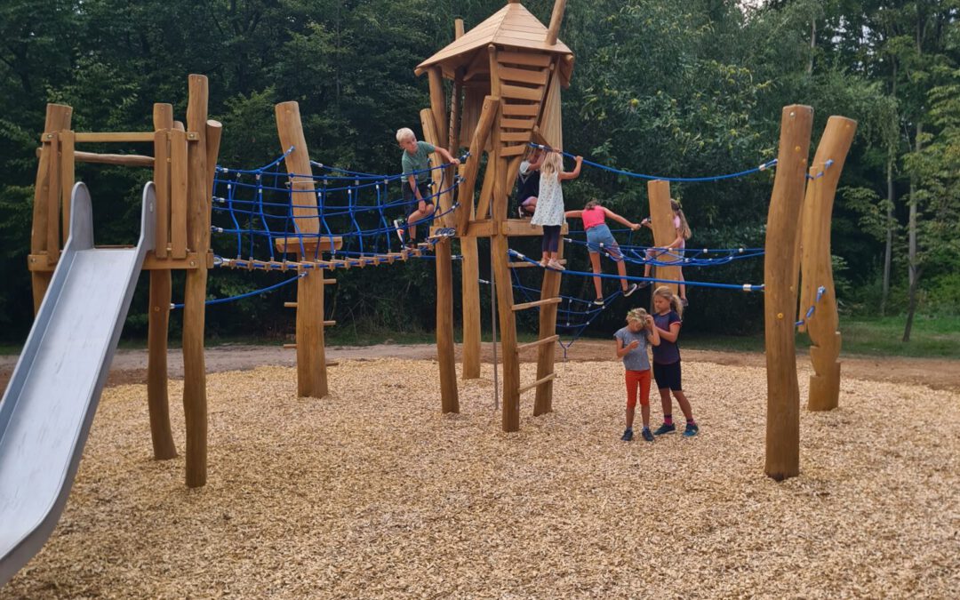 Neues Spielgerät auf dem Grillplatz am Binselberg