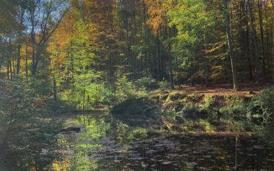 Wander- und Veranstaltungsplan 2025