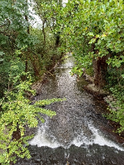 Wanderung auf dem Wassererlebnisband Gersprenz – Etappe 4 von Babenhausen bis zur Mündung