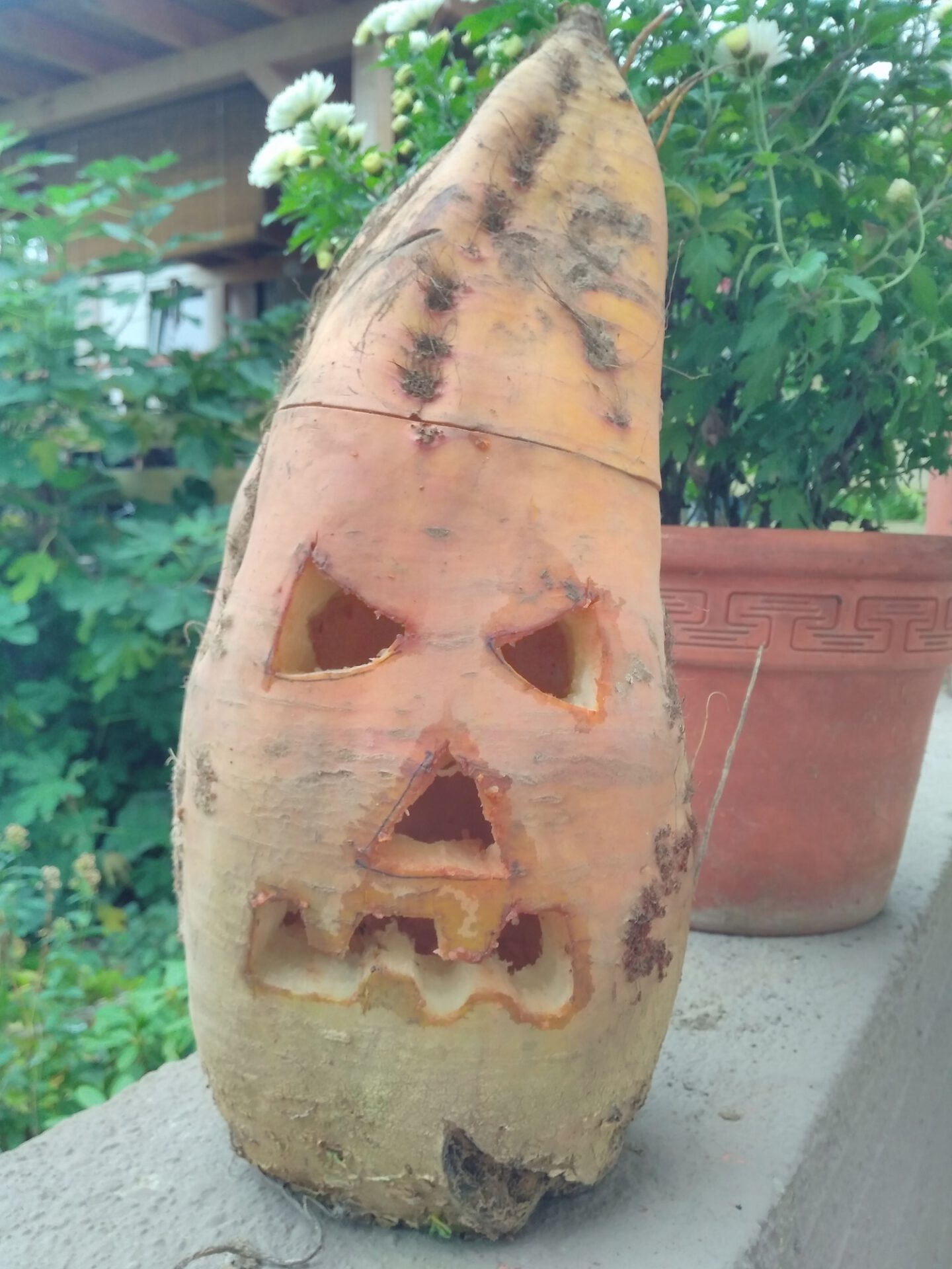 2025-10-26_Worzelkopp
