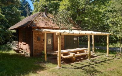 Geschenktipp zu Weihnachten