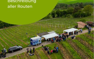 Weinlagenwanderung 2026